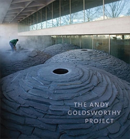 Andy Goldsworthy Project