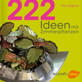 222 Ideen mit Zimmerpflanzen