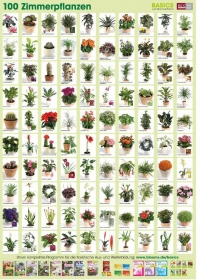 Pflanzen-Poster Zimmerpflanzen