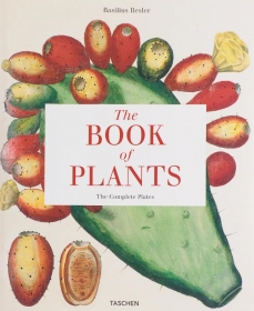 Basilius Besler. The Book of Plants