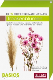 BASICS. Die 100 wichtigsten Trockenfloralien/Fruchte