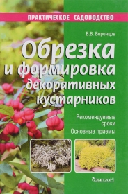Обрезка и формировка декоративных кустарников