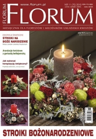 FLORUM  11-2010