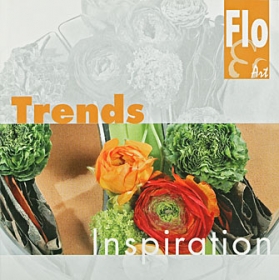 Trends Inspiration  06