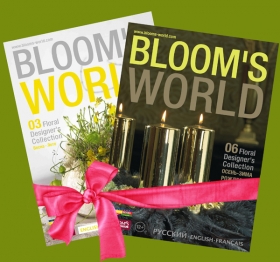 BLOOMs World -     