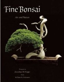 Bonsai: Art and Nature