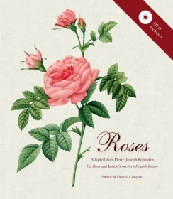 Roses + DVD