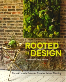 Rooted in Design: Guide to Creative Indoor Planting