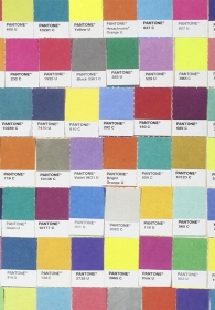 Pantone Chips Journal