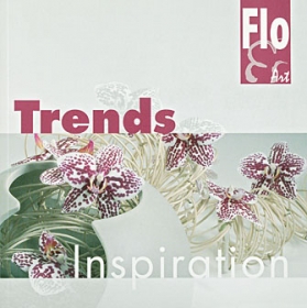 Trends Inspiration  08