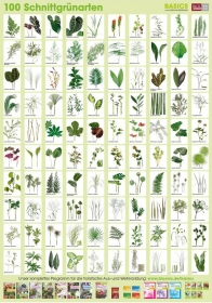 Pflanzen-Poster Schnittgrunarten