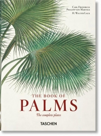 The Book of Palms (40th Anniversary Edition)