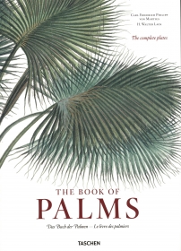 The Book of Palms