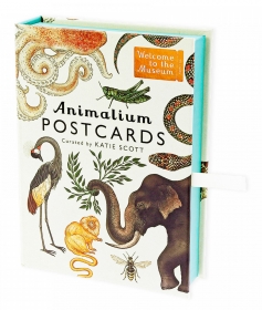 Animalium Postcards