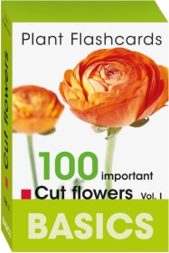 BASICS. 100 Important Cut Flowers. Vol I