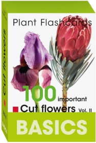 BASICS. 100 Important Cut Flowers. Vol II