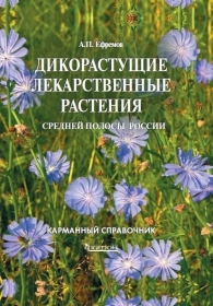 Дикорастущие лекарственные растения средней полосы России