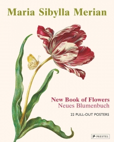 Maria Sibylla Merian: 22 Pull-Out Posters