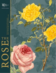 The Rose: The History of the World's Favourite Flower Told Through 40 Extraordinary Roses