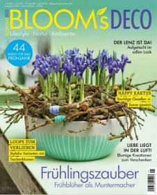 BLOOM's DECO 1/2021