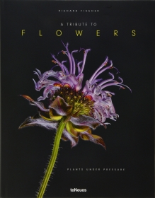 A Tribute to Flowers: Plants Under Pressure