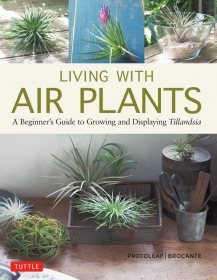 Living with Air Plants: A Beginner`s Guide to Growing and Displaying Tillandsia