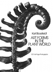 Art Forms in the Plant World: 120 Full-Page Photographs