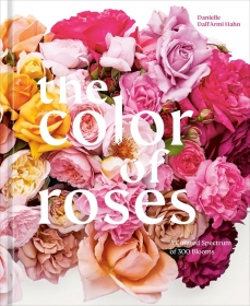 The Color of Roses: A Curated Spectrum of 300 Blooms