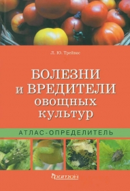 ������� � ��������� ������� �������. �����-������������