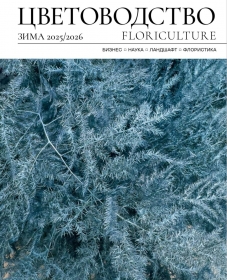 ������������ ���� 2025/26