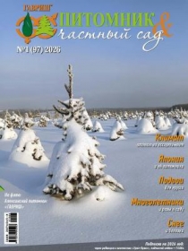 �������� � ������� ��� � 01/2026