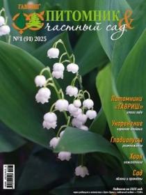 �������� � ������� ��� � 01/2025